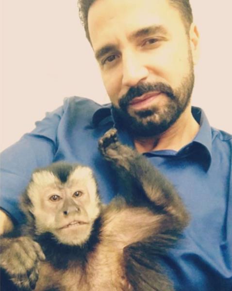 Macaco do cantor Latino morre atropelado
