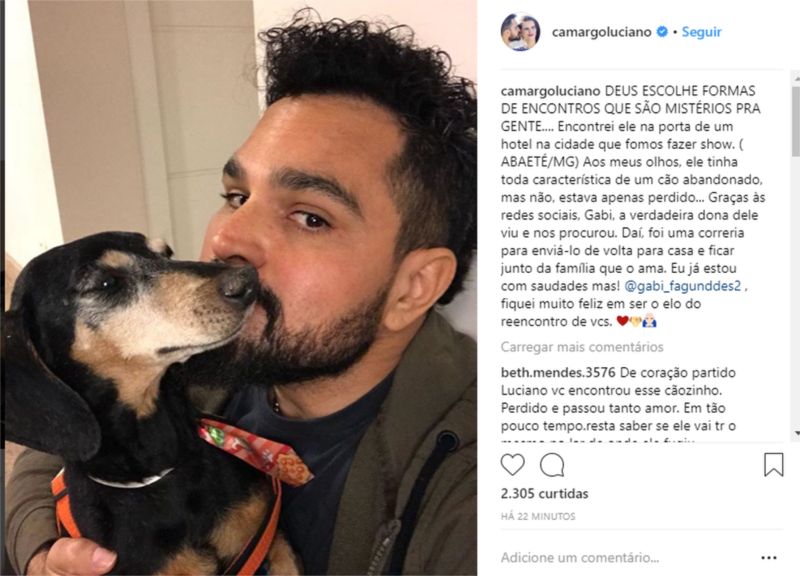 Sertanejo Luciano devolve cão que adotou em hotel em MG: 'já estou com saudades'